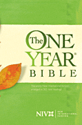 NIV Graphic